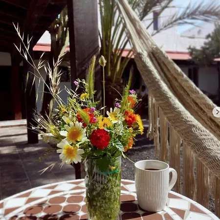 Casa Cocolores Guest house Villaverde (Fuerteventura)