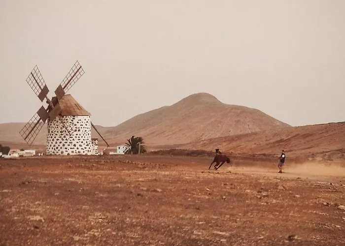 Casa Cocolores