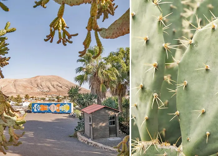 Casa Cocolores
